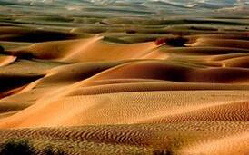 中国最大的沙漠还藏着什么尚未解开的秘密？