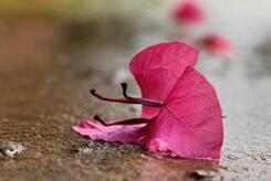 古人为什么那么看重新婚之夜新娘的落红?