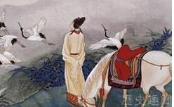 十一月风雨大作展示了诗人陆游什么感情