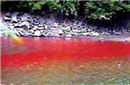 未解之谜：四川的神秘湖水为何是红色的?