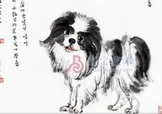 我们都被骗了!这才是十二生肖正确的排序原因