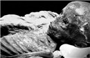 埃及发现外星人木乃伊：外星人早已统治地球