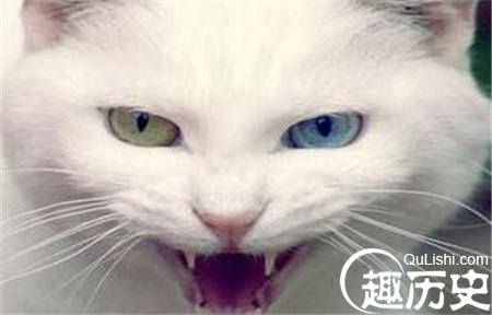 2_副本1.jpg