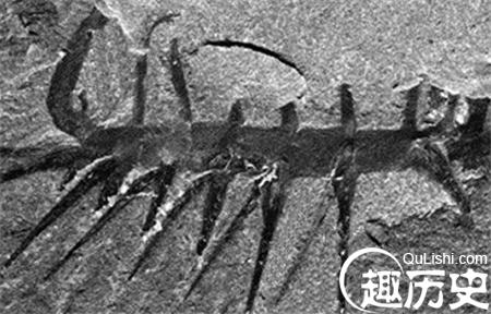20141215115319791_副本.jpg