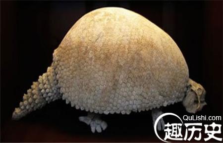 20141215115223426_副本.jpg