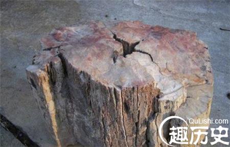 QQ截图20170321182305_副本.jpg