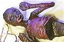 震惊！古墓惊现三千年前神秘人鱼木乃伊 