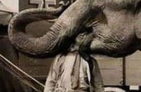 古代恐怖刑罚：犯人被凶残兽类活活蹂躏死