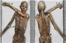 考古新发现！揭秘5300年前冰人奥茨现新纹身