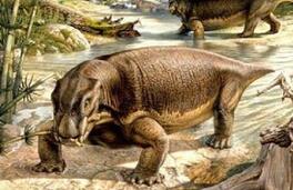 不敢相信!曾经的地球霸主竟然长得跟猪很像