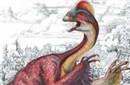 考古新发现！揭秘美洲大陆发现新种恐龙