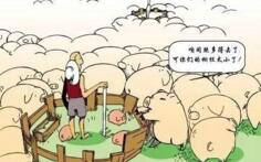 举棋不定的故事