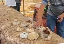 这位皇帝杀死过怪兽陵寝五千年无人敢挖