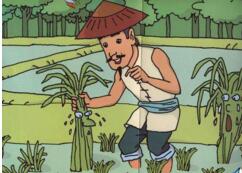 揠苗助长的故事