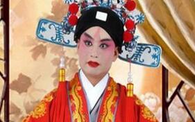 皇帝的女婿为何叫驸马？驸马娶了公主会幸福吗