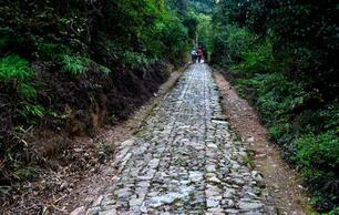 历史上古道有哪些：中国历史上著名的6条古道