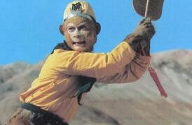 《西游记》中孙悟空为何是猴子而不是其他动物