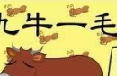 九牛一毛的故事