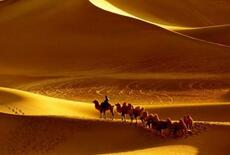 揭秘搅屎棍在丝绸之路的疾病传播真相是怎样的