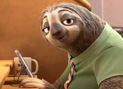 不知道的科学事实：树懒每次便便几乎都会死