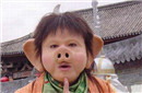 天蓬元帅猪八戒在天庭的地位有多高？