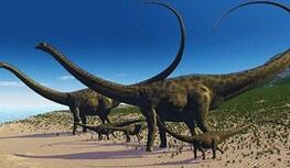 巨型恐龙的秘密:之字形骨头支撑整个长脖子