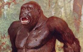 远古巨猿灭绝之谜被揭示!竟是被活活饿死