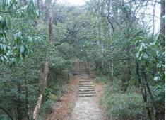 一千步阶梯的诅咒：众多鬼魂存在的地方?