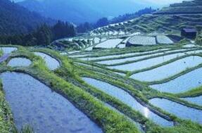 俗语&ldquo;一亩三分地&rdquo;的这个叫法是怎么来的