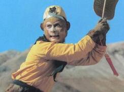 孙悟空是四大奇猴中的四大特殊猴类中哪一种猴子