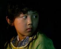 红楼梦中的贾珠是不是父亲贾政失手打死的?