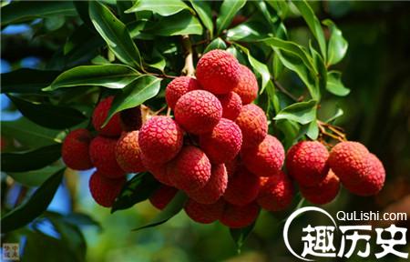 荔枝
