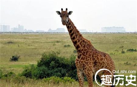 20140710001005_euctK.jpg