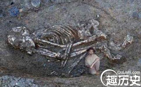 巨人化石