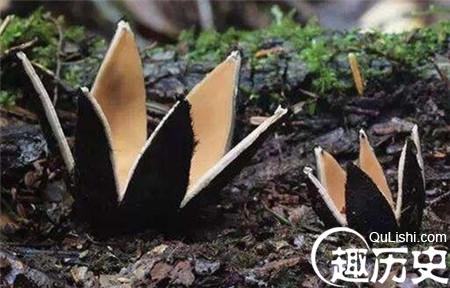 20140710001005_euctK.jpg