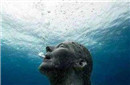 世界未解之谜 神秘海底人竟是玛雅人?