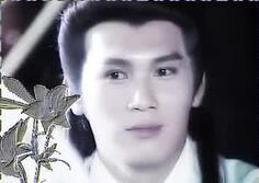 孙玉伯和万鹏王 孙玉伯的武功厉害吗