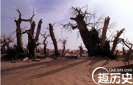 死亡地带