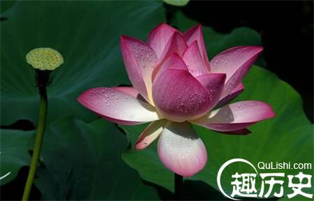 1_副本6.jpg