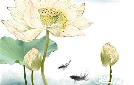 3_副本6.jpg