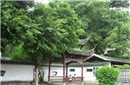 宋代理学大师朱熹做广告：做完宣传病就复发