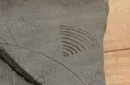 古陶器上惊现WiFi标志：古代就有高科技了？