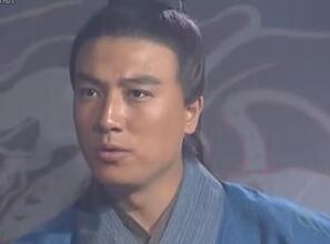 蜀国大将姜维北伐的目的是要灭亡魏国吗