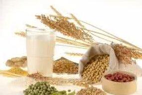 农业学家赵过：独创了具有世界先进性的代田法