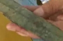 男孩河边洗手掏出商周青铜剑：竟距今3000年