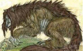 揭秘澳洲神秘生物水怪“本耶普”到底为何物?