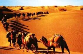 汉武帝是为了满足军事野心才开辟丝绸之路的吗