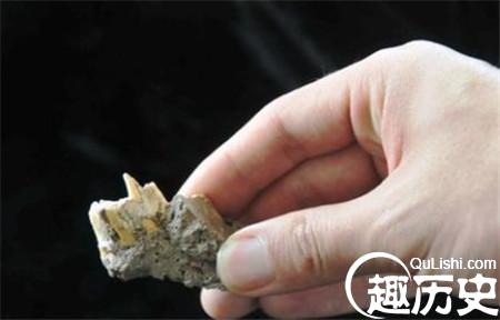 马鹿洞人