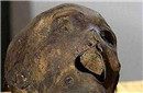 齐齐哈尔发现300年前古墓 百年干尸保存完整