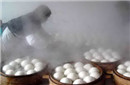 馒头是诸葛亮发明的吗?他为什么会想到吃馒头